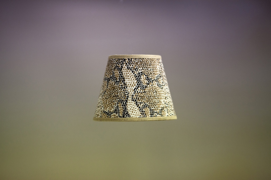 Φίδι