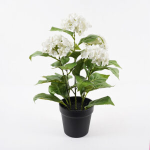 Διακοσμητικό φυτό σε γλάστρα Hydrangea Inart λευκό Φ35x50εκ