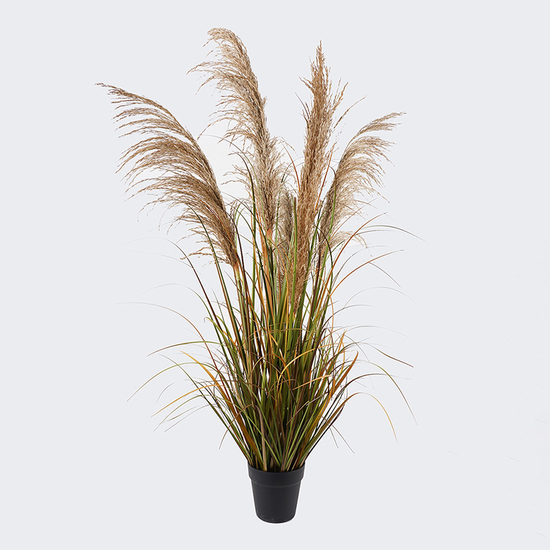 Διακοσμητικό φυτό σε γλάστρα Bulrush Inart Φ65x120εκ
