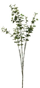 Κλαδί Πρασινάδα 80cm