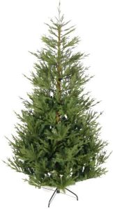 Χριστουγεννιάτικο δέντρο Fir 210cm - 2590 κλαδιά πράσινο
